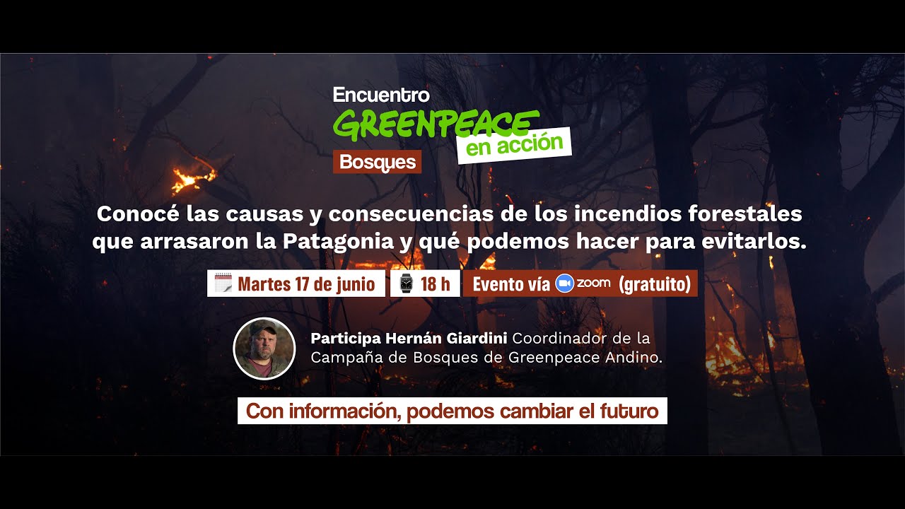 Encuentro Greenpeace en Acción - Bosques