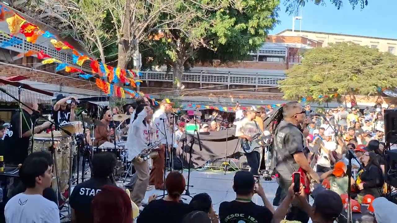 Los afro brothers x pega duro x toro san juan de dios