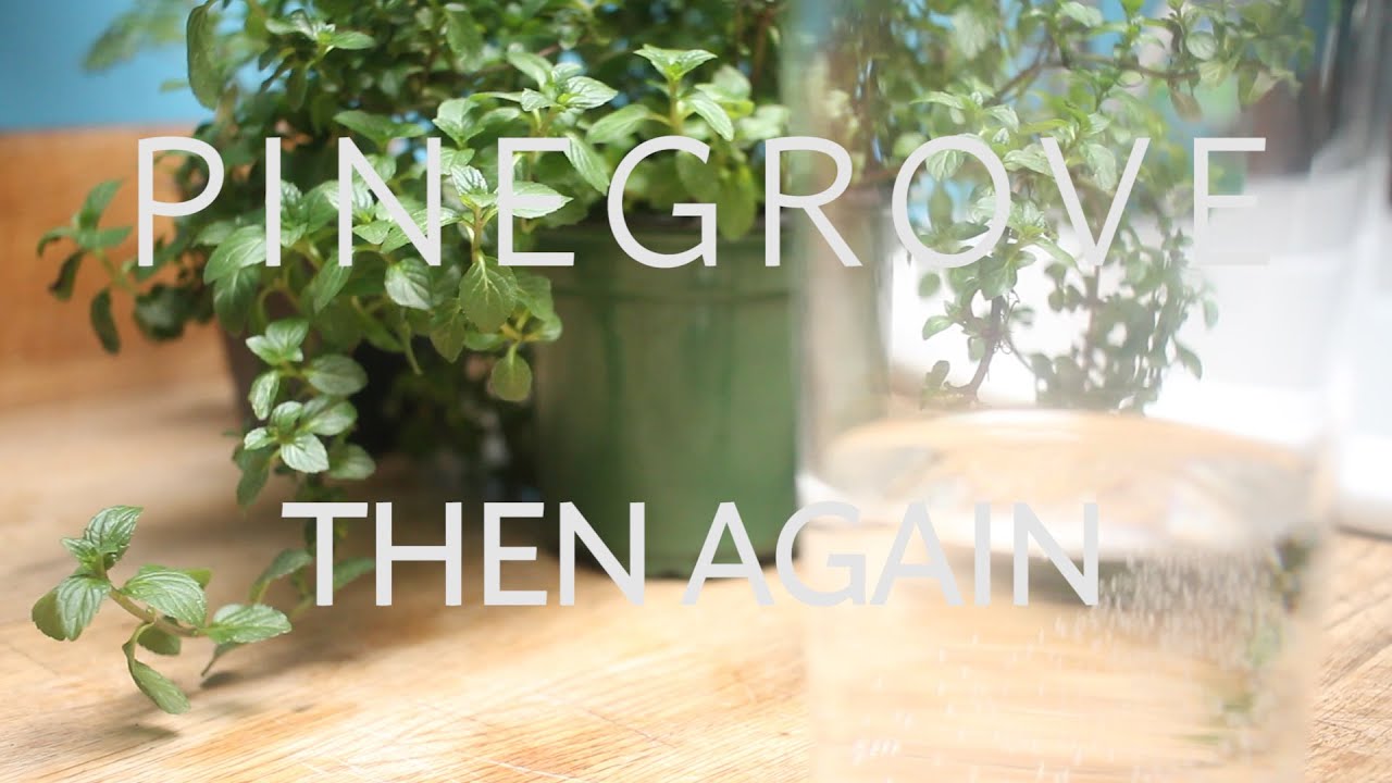 The Key Presents: Pinegrove -  Then Again