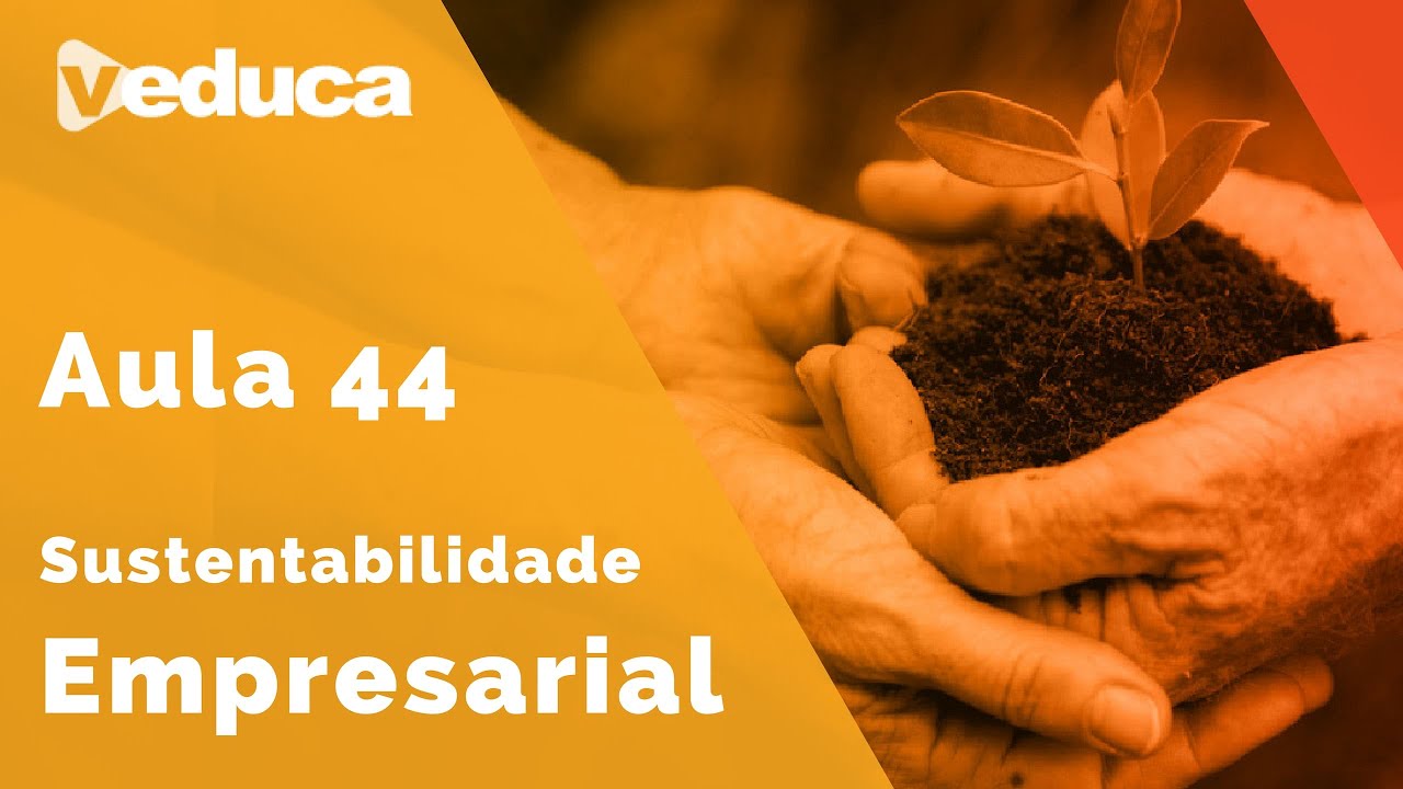 Responsabilidade social na gest&atilde;o de unidade de neg&oacute;cios - Sustentabilidade Empresarial | Aula 44