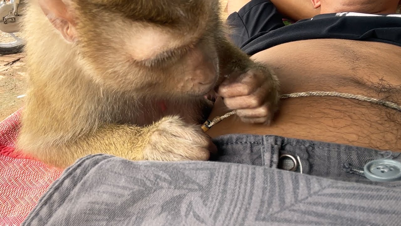 Ohh My Gosh!! Zueii Really Love To Grooming And Massage My Belly
