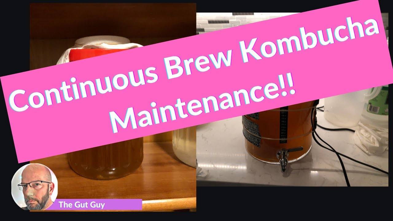 Continuous Brew Kombucha Maintenance