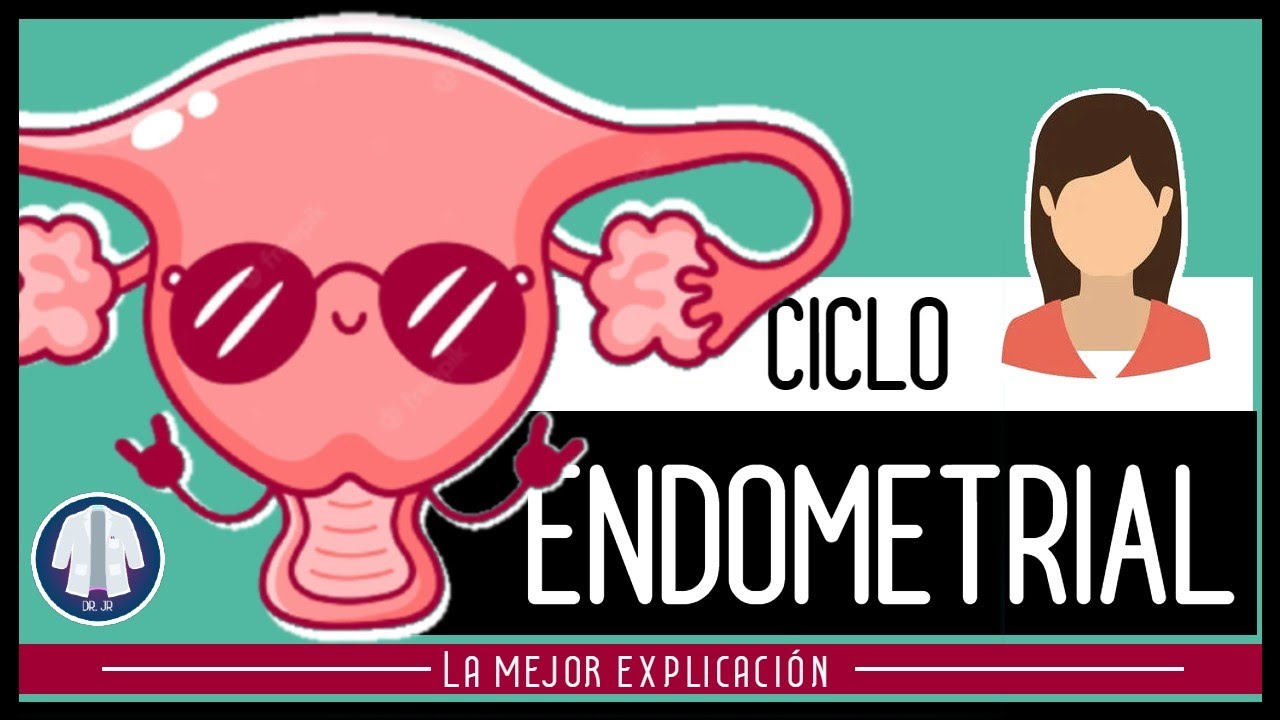 CICLO ENDOMETRIAL (MENSTRUAL) | EXPLICADO DR -JR