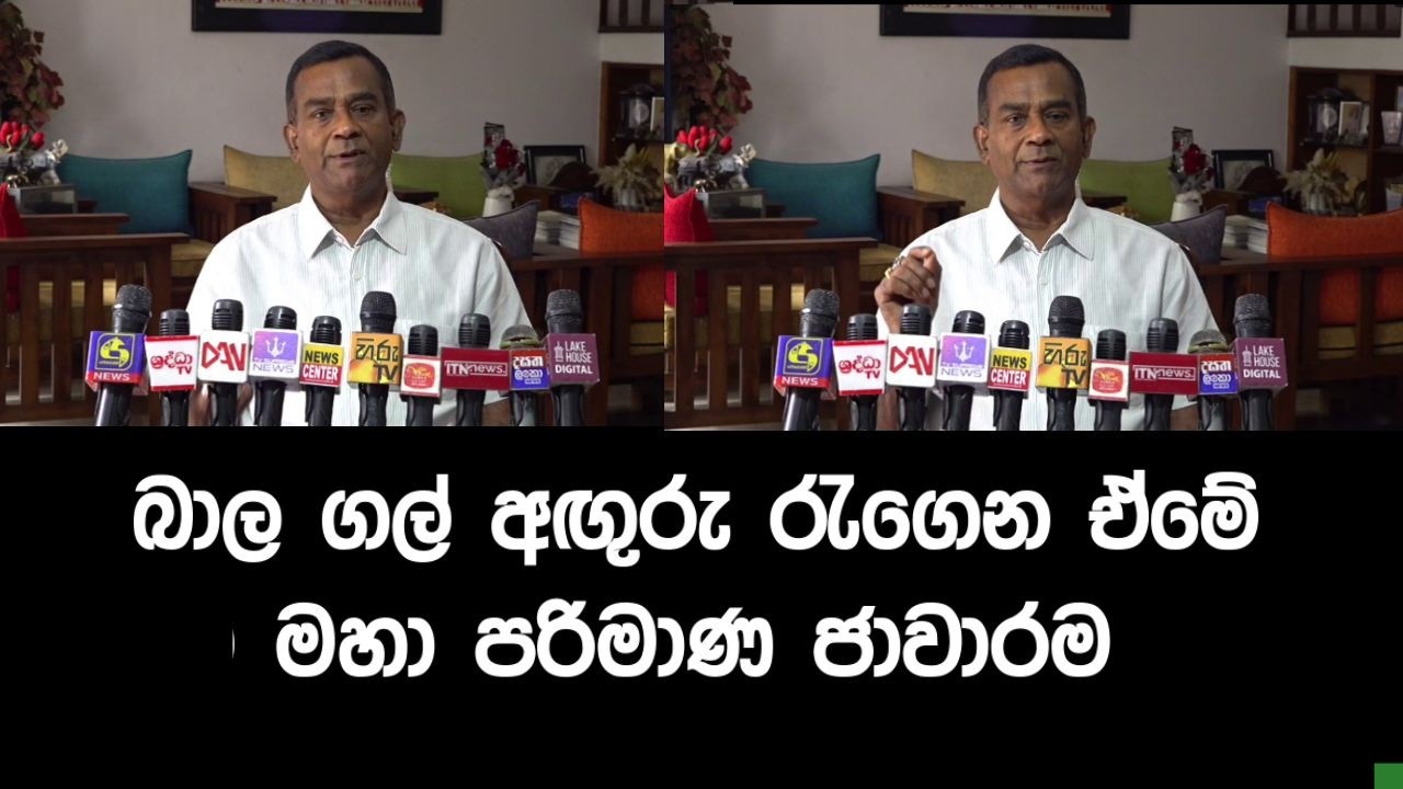 බාල ගල් අඟුරු රැගෙන ඒමේ මහා පරිමාණ ජාවාරම