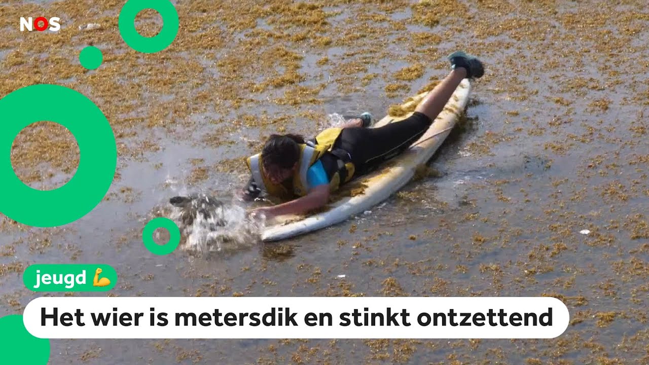 Julieta redt zeeschildpadden uit zeewier-brij