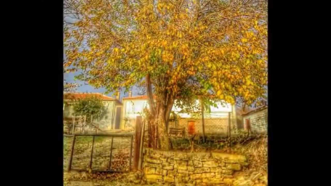 Μιά βόλτα στούς Πετράδες