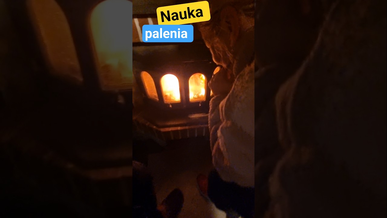 NAUKA PALENIA W KOMINKU JOTUL #piesmilka #jotul #trip #adventure