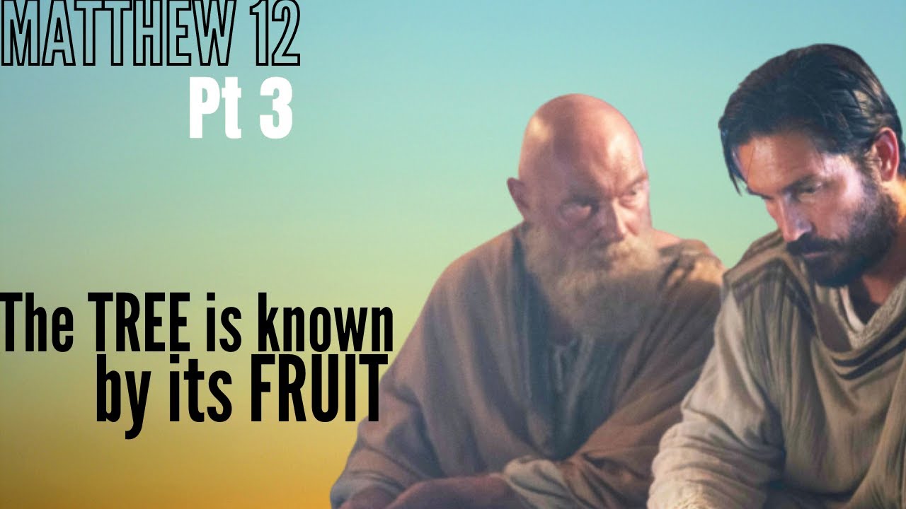 Matthew 12 - Part 3 - IF anyone speaks against the HOLY GHOST, it shall not be forgiven him