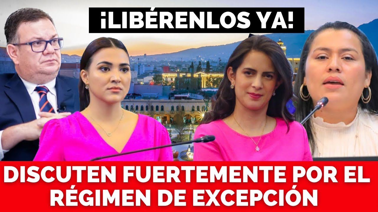 DIPUTADOS DISCUTEN POR EL RÉGIMEN DE EXCEPCIÓN. Claudia Ortíz y Marleni Funes se oponen.