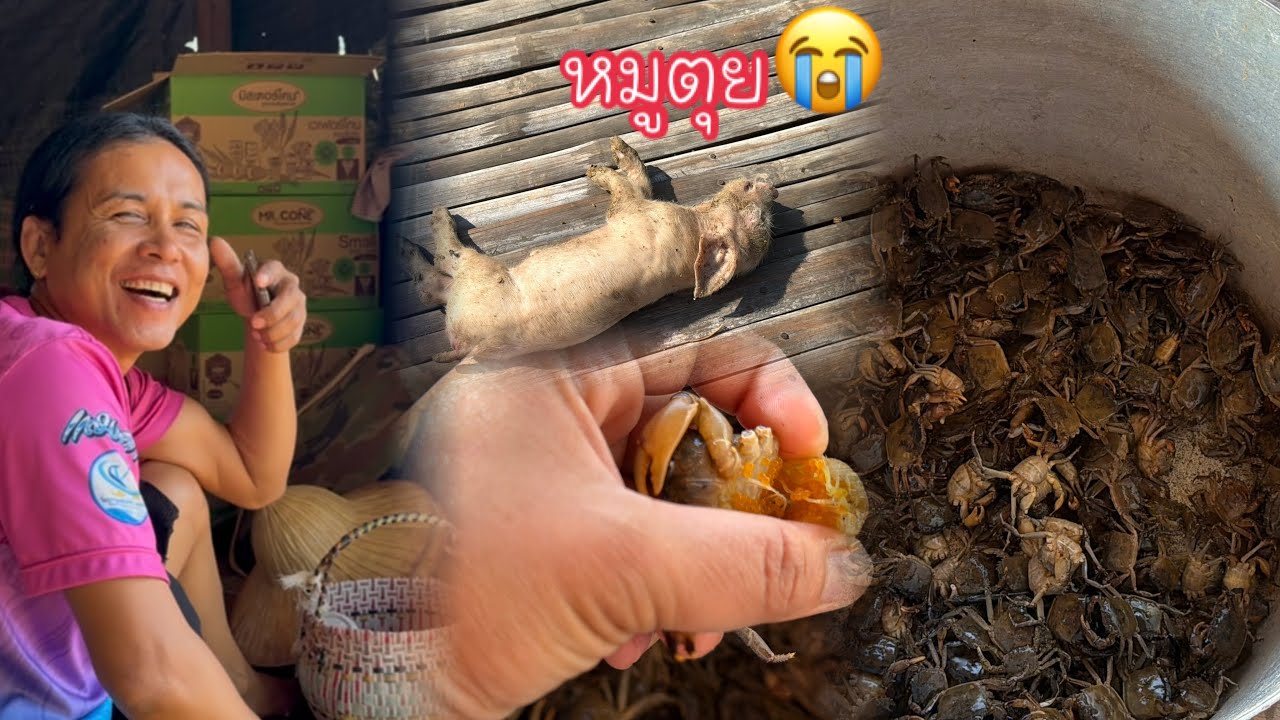 โอเล่ได้กะแป้งมาฝากเยอะมากๆ/อัมราขำ￼แทบฉี่เล็ด￼ขายแหนบบ่ได้