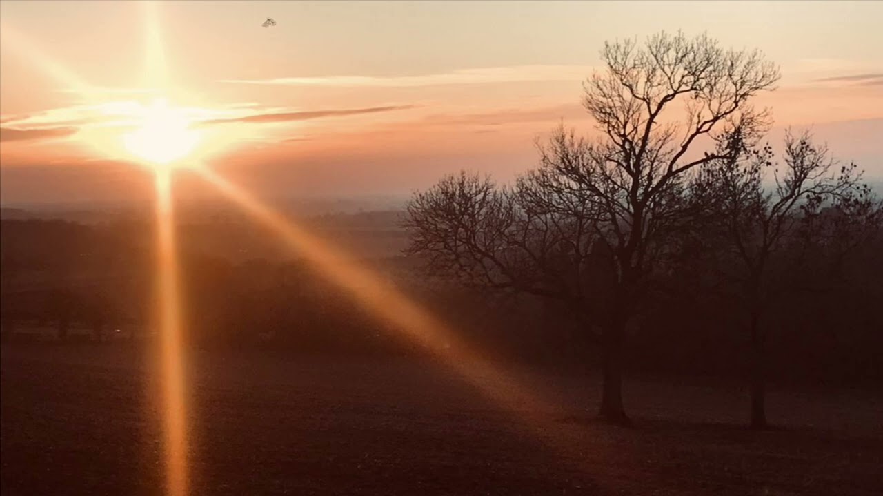 Vitality Moving in Steadying Presence 