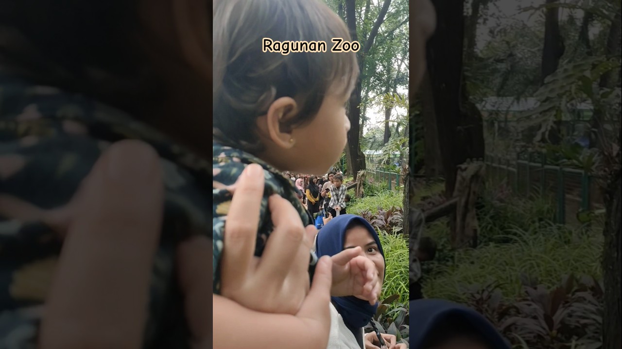 Ke BonBin #ragunan #kebunbinatang #jerapah #fypviral #baby
