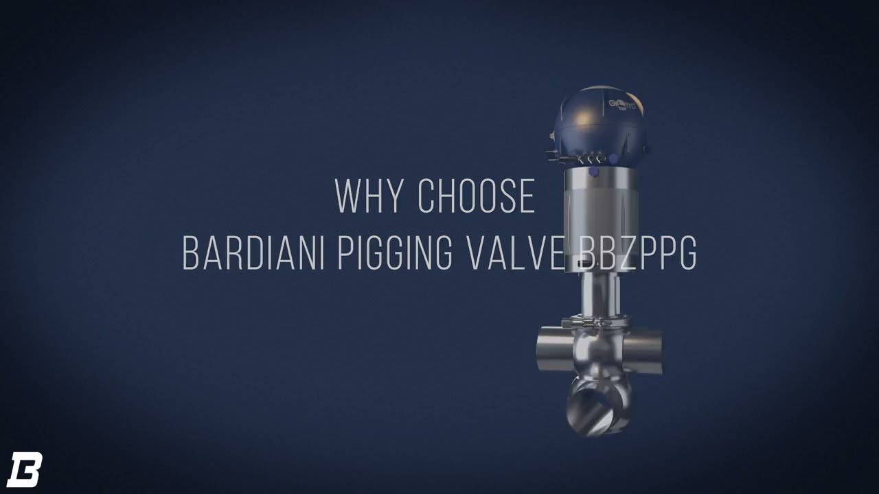Bardiani Valvole BBZPPG Single seat valve for pigging system