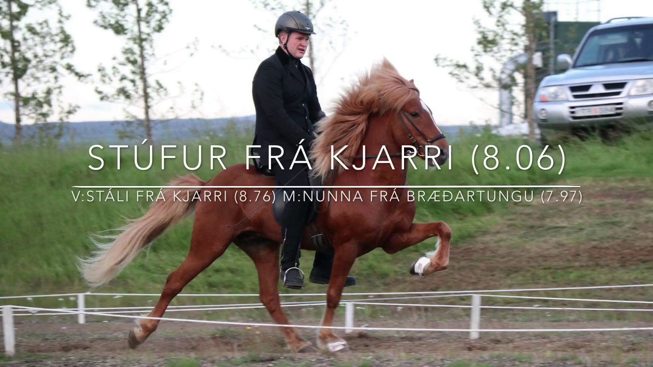 Stúfur frá Kjarri