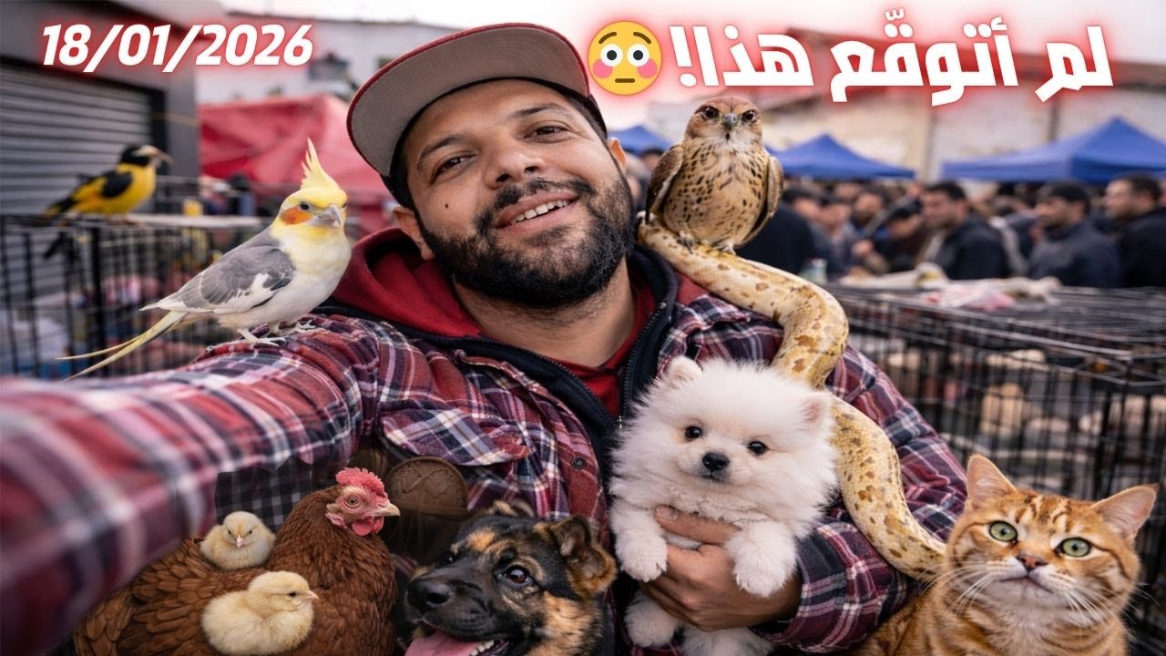 عالم الحيوانات عن قرب  طيور نادرة،  حيوانات أليفة سوق المنصف باي The world of animals up close
