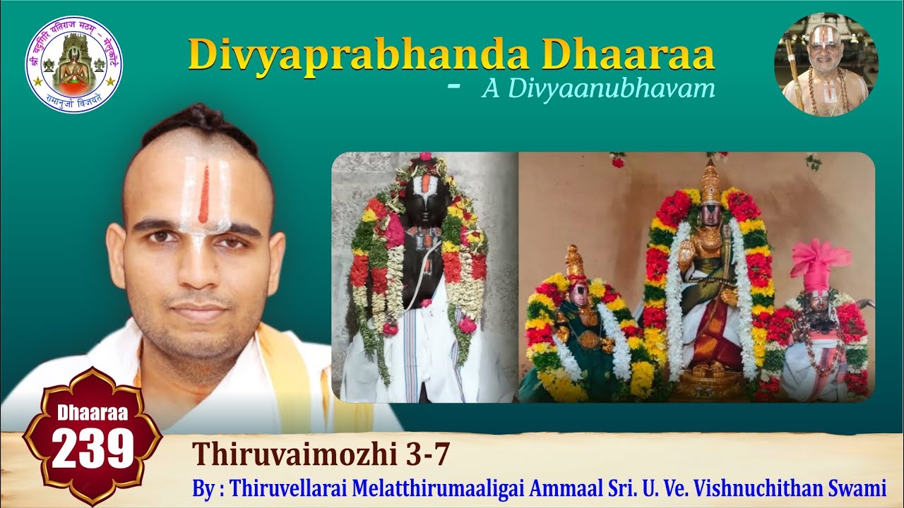 Epi 239 - Divyaprabhanda Dhaaraa | Thiruvaimozhi 3-7 | Thiruvellarai Ammaal UVe Vishnuchithan Swami