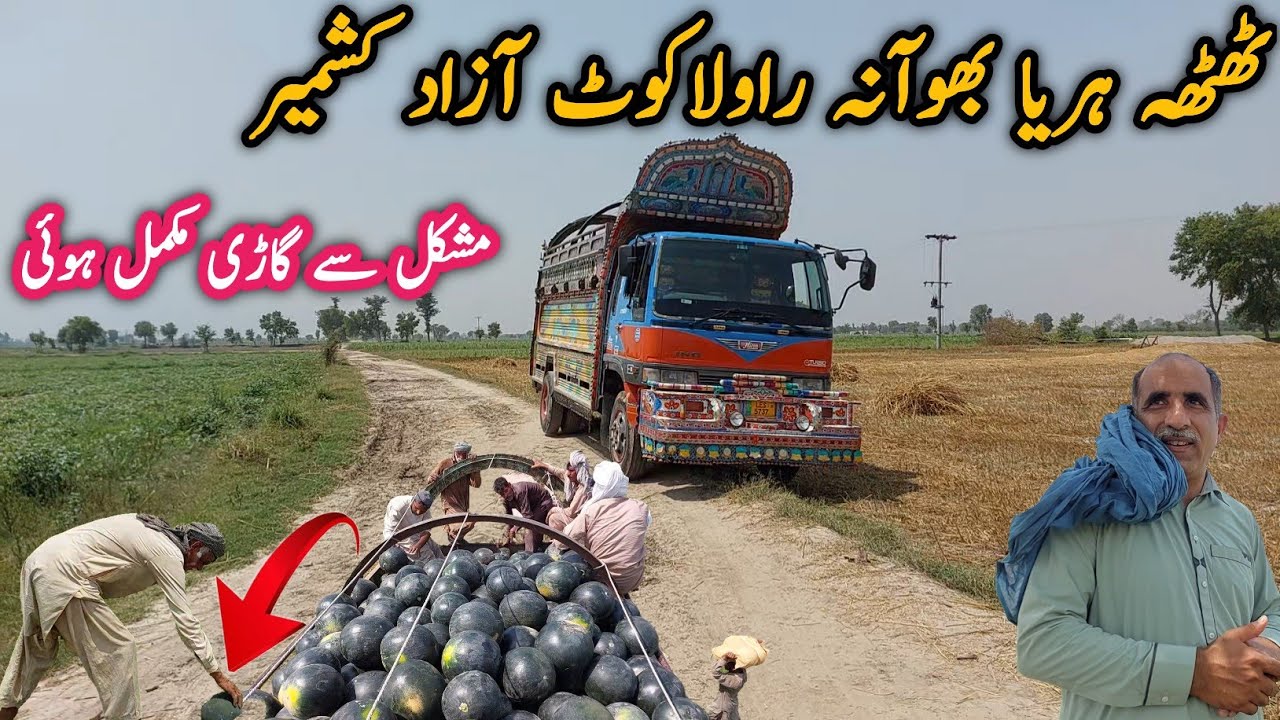 Thatha harya Bhawana to rawlakot Azad Kashmir by truck||watermelon||Chalta Phirta Tv