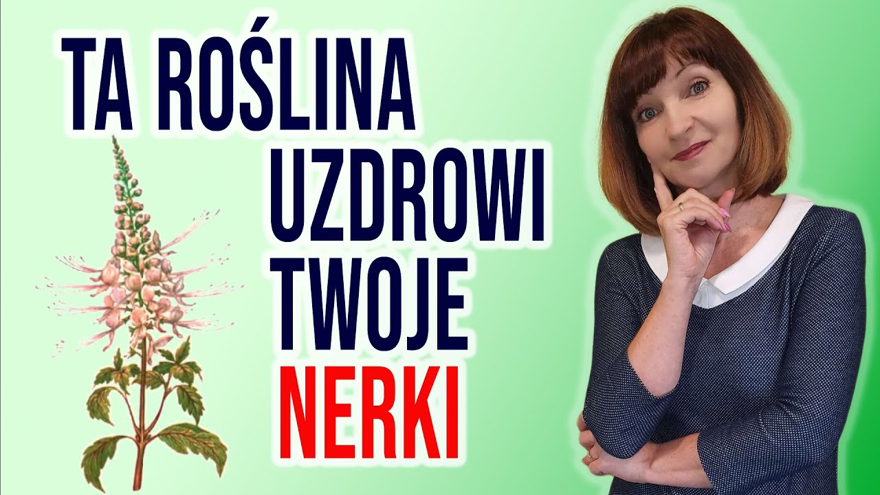 🍀 Jak oczyścić NERKI? 🍀 Zioła lecznicze. HERBATA JAWAJSKA Ortosyfon groniasty