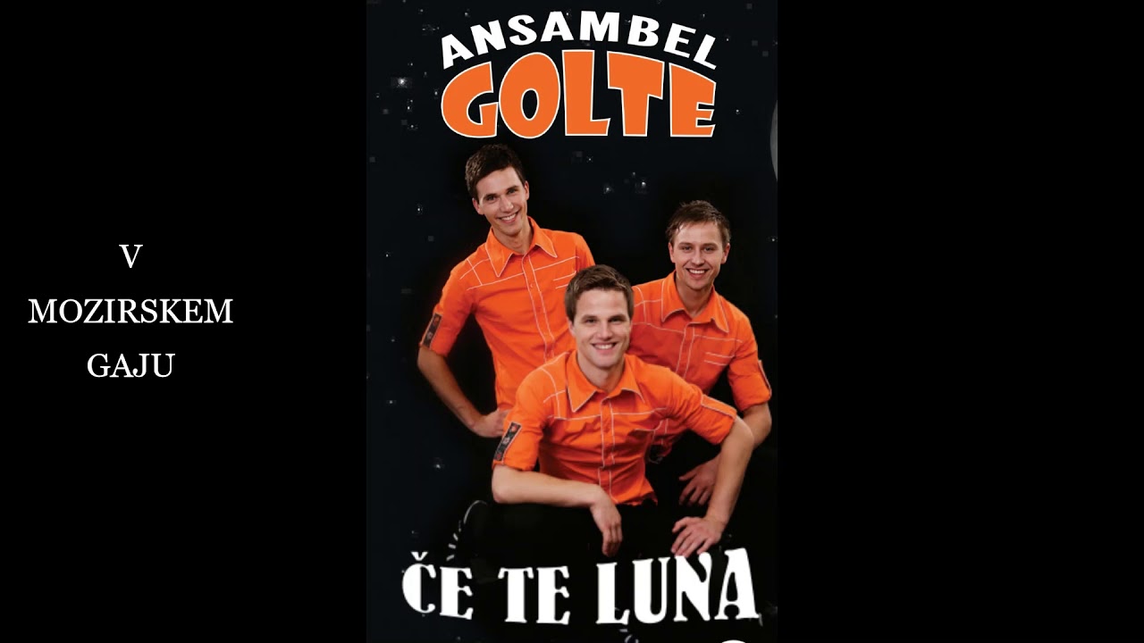 V MOZIRSKEM GAJU -ansambel Golte