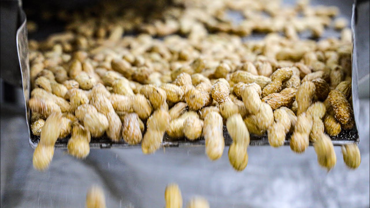 Food Factories of Lebanon. 