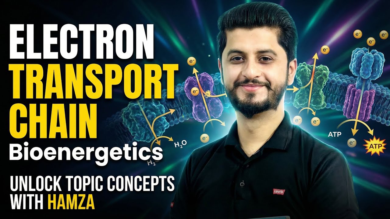 Electron transport chain| Bioenergetics | unlock topic concepts with Hamza