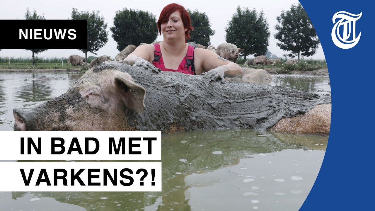 Boerin wordt lekker vies met varkens