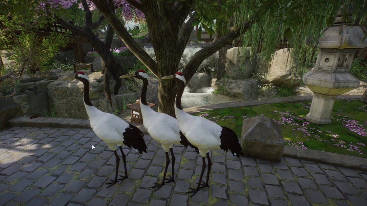 Planet Zoo (PC)(English) #126 7 Minutes of Red-Crowned Crane (Wetlands Animal DLC)
