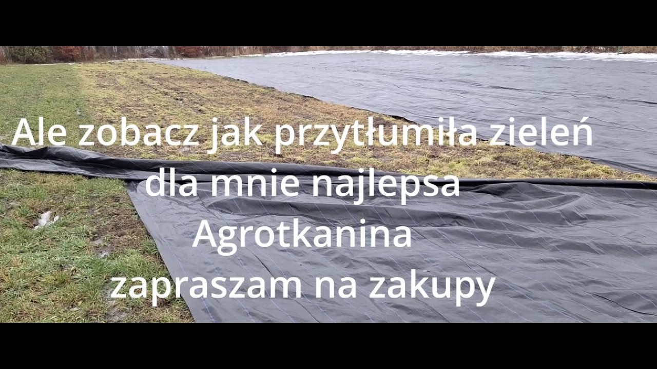 Ściółkowanie Agrotkaniną Gramatura 100 Gram robi największe wrażenie. Dzień 2 zapraszam