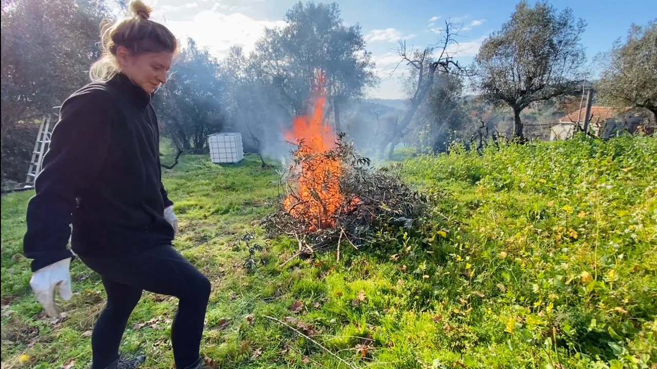 Making a Big Fire 🔥 & Fighting an Olive Tree Disease 🦠