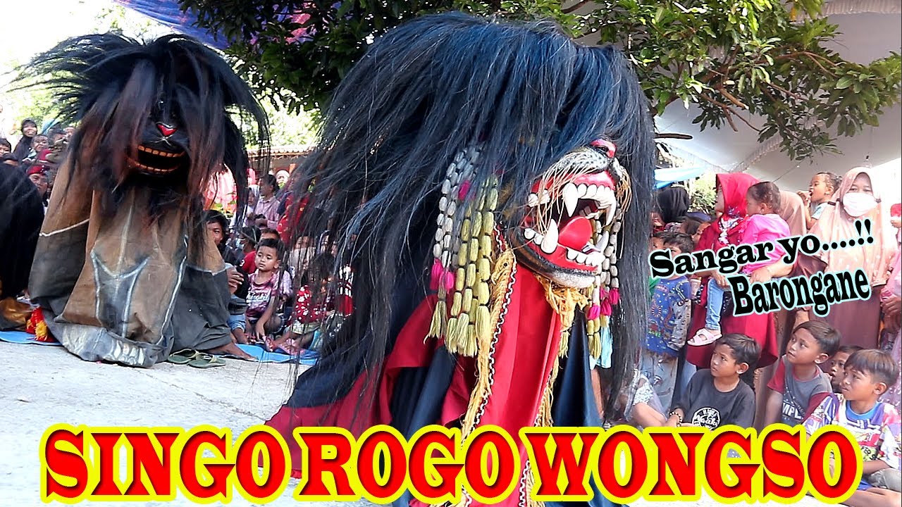 Bocil Sampe melongo melihat aksi ganas Barongan Singo Rogo Wongso live Jajar Karang Rayung