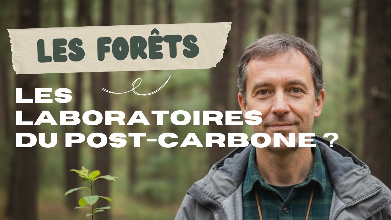 Forêts privées : trois leviers pour sortir de l’impasse actuelle ?