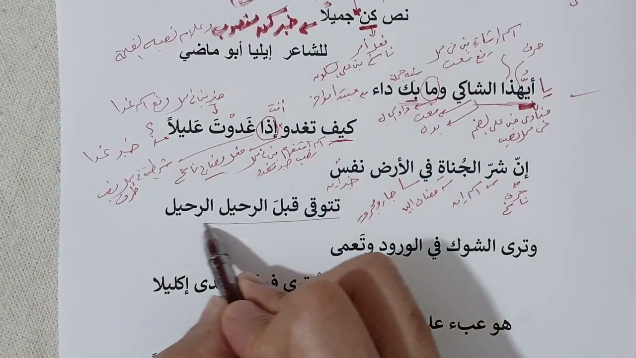 إعراب نص “  كن  جميلا ” 