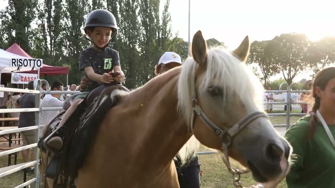 Fiera Millenaria di Gonzaga 2024