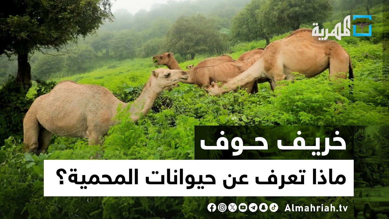 حيوانات حوف المهددة بالانقراض | خريف حوف مع سفيان المطحني | الحلقة السابعة