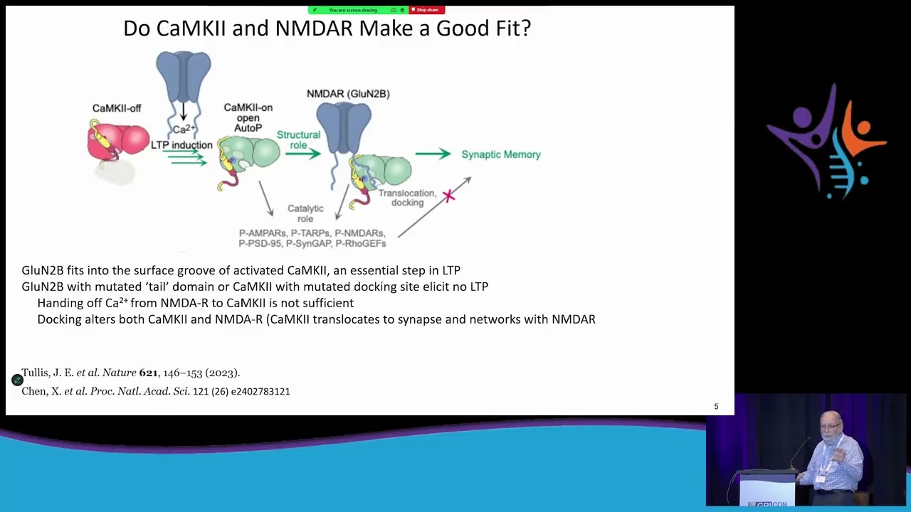 Shared Mechanisms, Shared Symptoms, Shared Treatments?