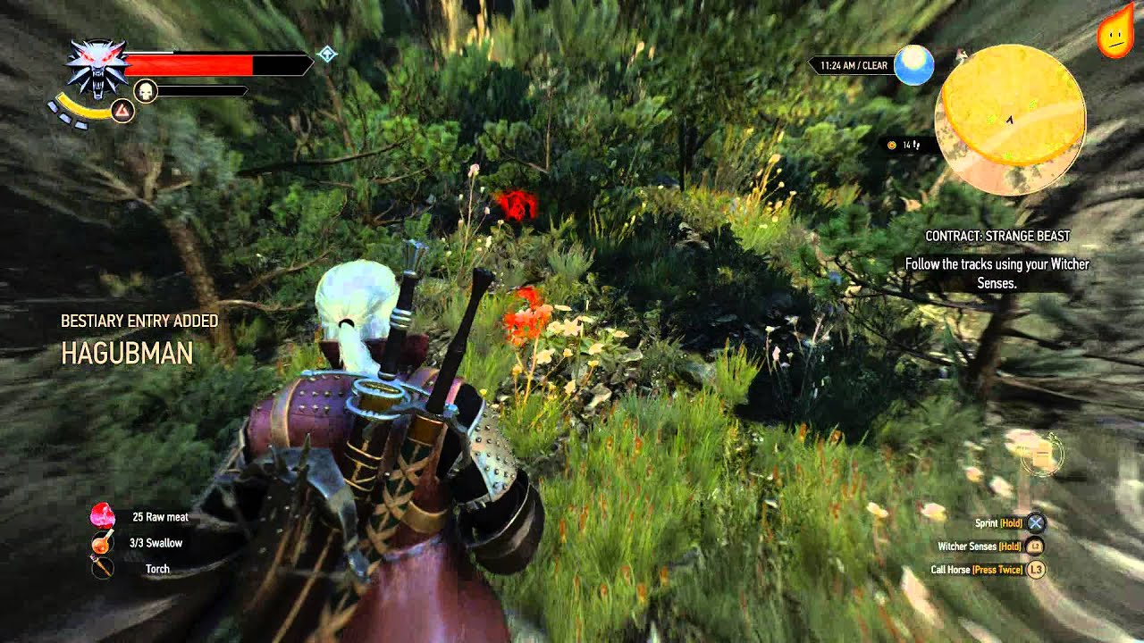 The Witcher 3: Contract: Strange Beast - Quest Walkthrough