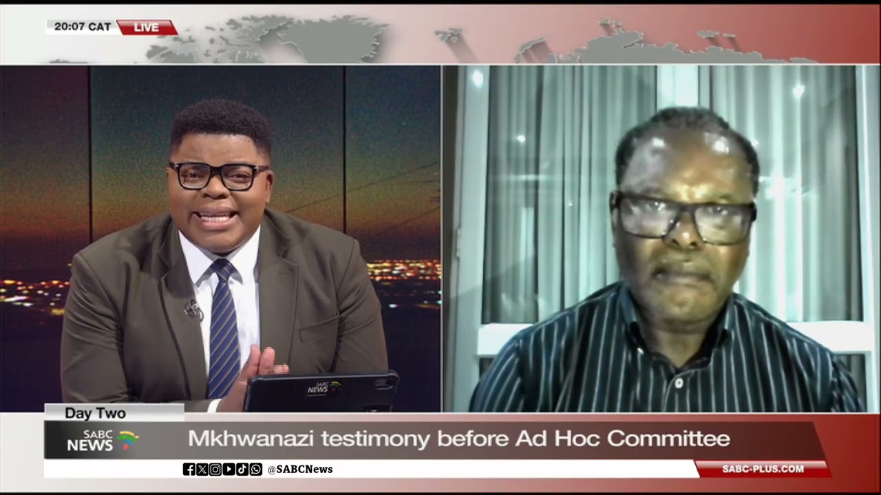 Ad Hoc Committee | Parliament's probe into Mkhwanazi claims: Prof Sipho Seepe