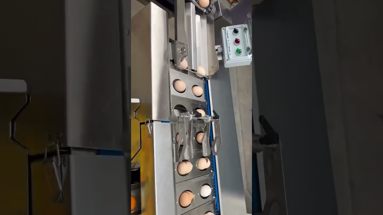auto Egg Yolk Separator Egg Cracking Machine egg cracker egg tapper 