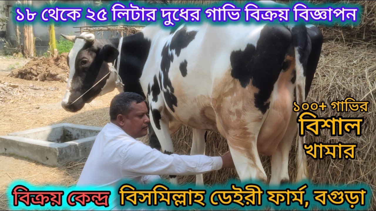 ০৮/০২/২৬ইং বিক্রয় বিজ্ঞাপন। উত্তরবঙ্গের সবচাইতে বড় বিক্রয় কেন্দ্র বিসমিল্লাহ ডেইরী ফার্ম।