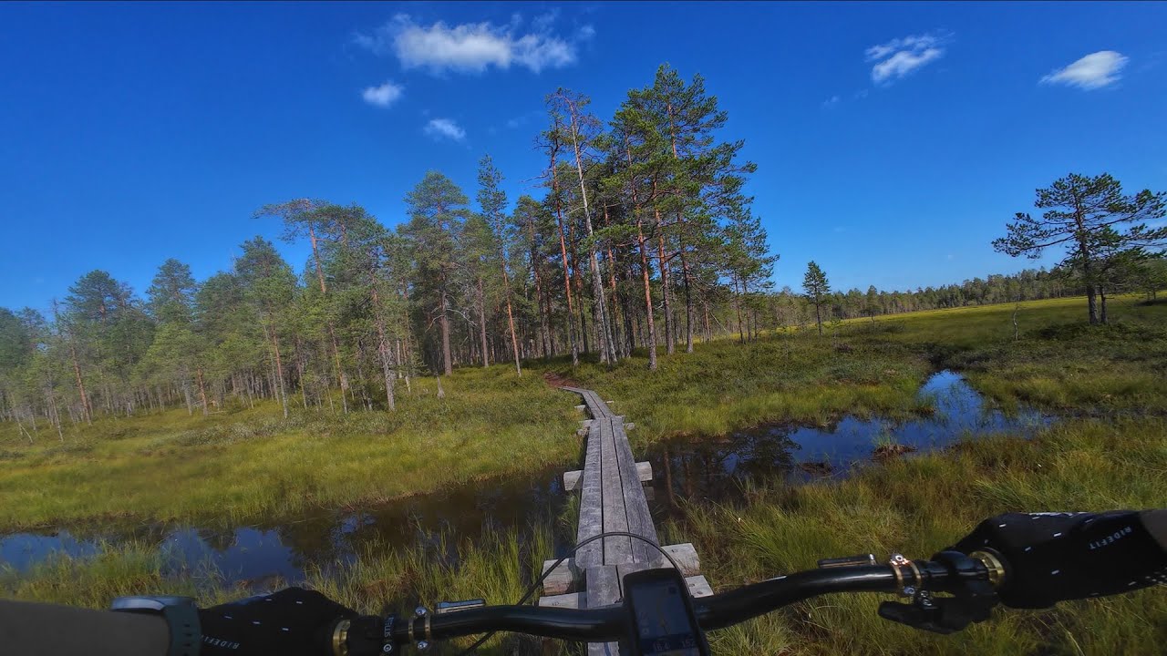 Sininen Saavutus MTB 50km - Hossa National Park