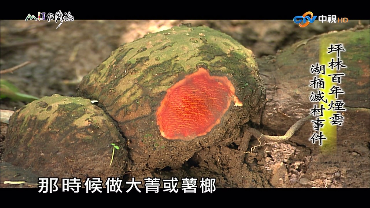 【MIT台灣誌 #491】‎坪林百年煙雲,湖桶滅村事件_1080p