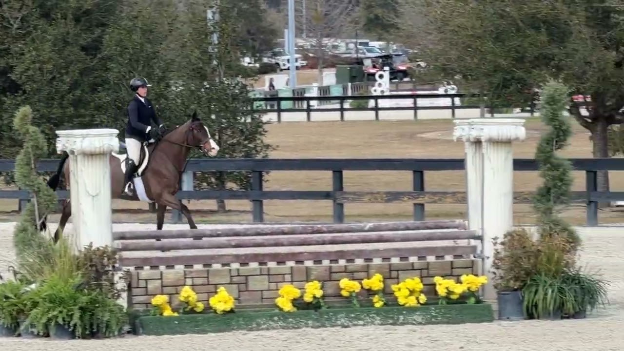 Score of 81 on “Unlimited” in the 3’3 Junior Hunters 