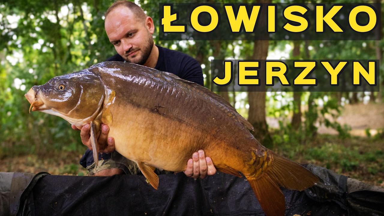 ŁOWISKO JERZYN  ❤️❤️ZIG-RIG ratuj !