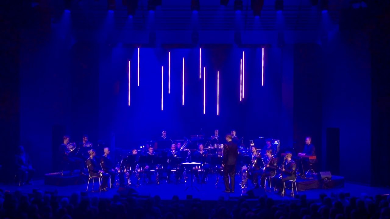 Stevie Wonder Medley -  S&oslash;v&aelig;rnets Tamburkorps
