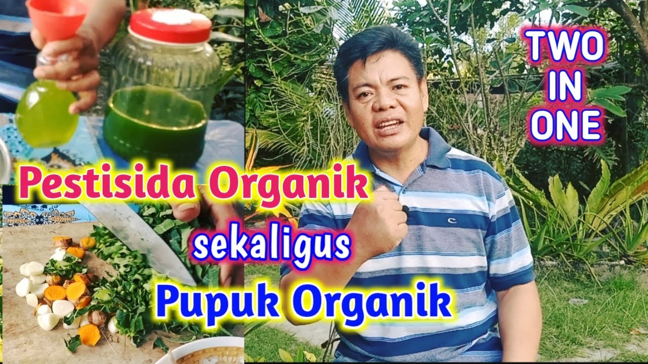 Cara Membuat Pestisida Organik Sekaligus Pupuk Organik