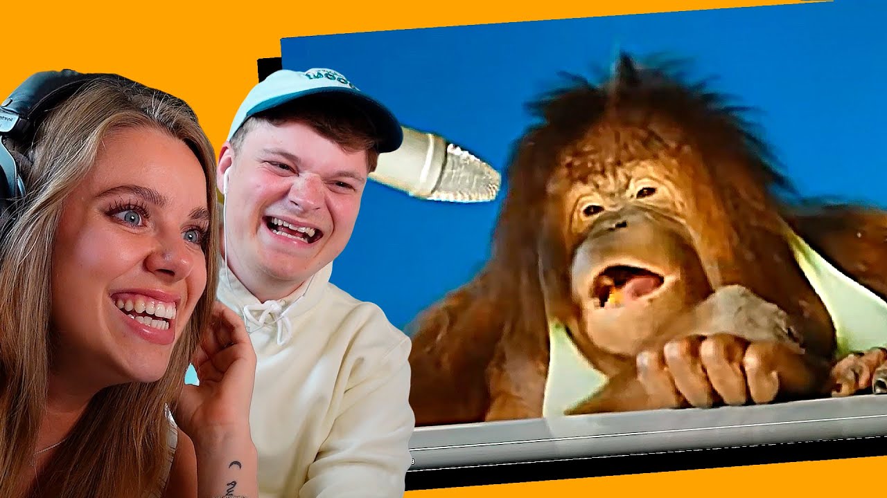 DE ENESTE DYR DER MÅ LAVE ASMR