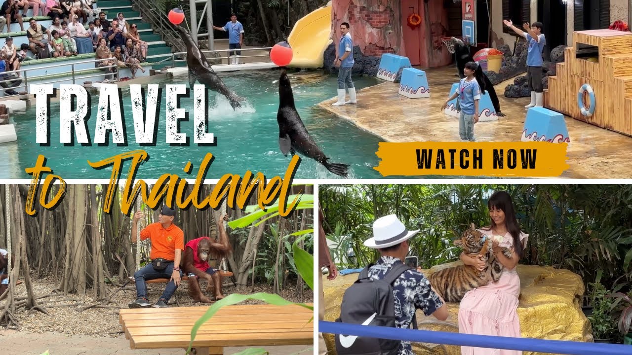 Thailand Safari world sea Lion Show! 🦭| Thailand Vlog Part 4 | Bangkok #trending #youtube #fyp 