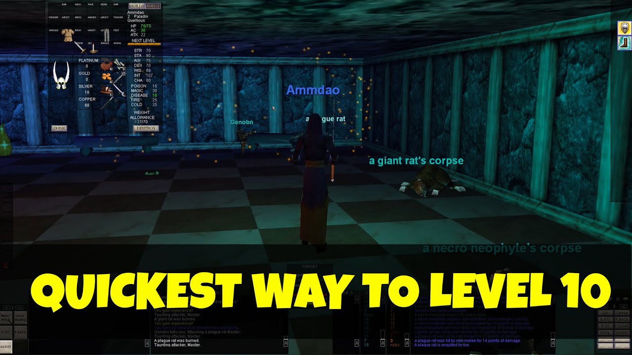 10 Levels In 2 Hours - Quickest Way To Get Through Early Levels - Everquest Project 1999
