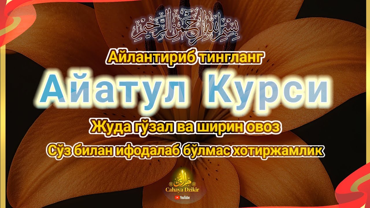 Оятул Курси сокин тиловат | Қалб ва онгни тинчлантирувчи нур