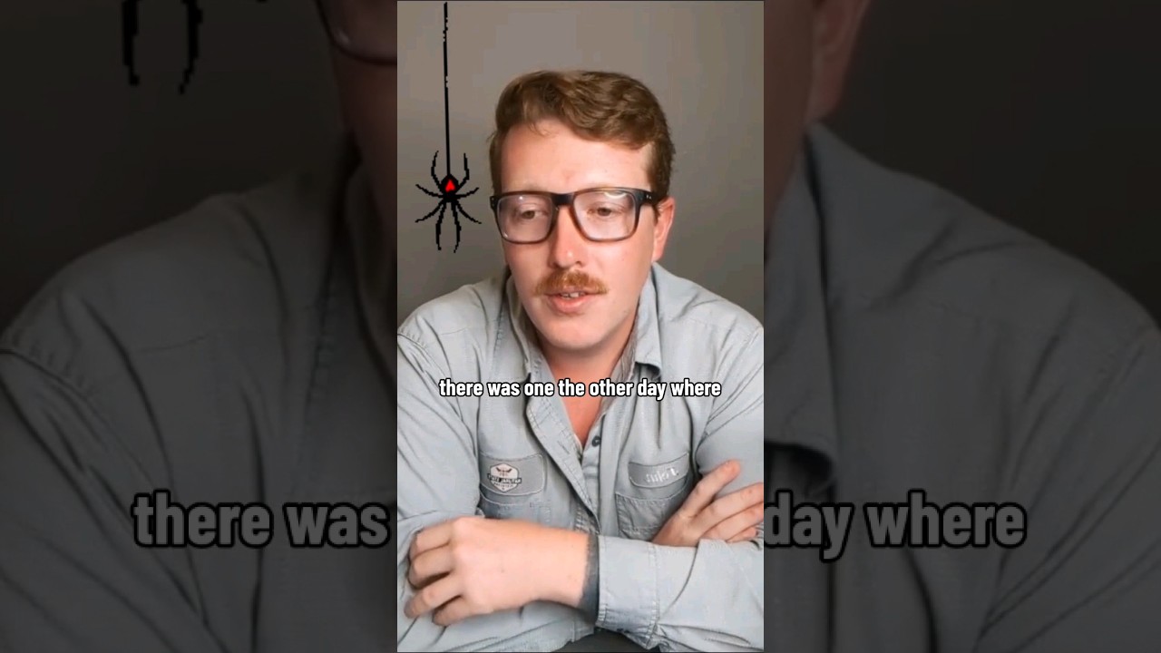 SCARY Pest Control Story 🕷️🕸️ Everyone should be cautious of black widow spiders! #venomousspiders